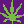 [-DTS-] Dead Time Stoners -=<///////////////>=~~~~~